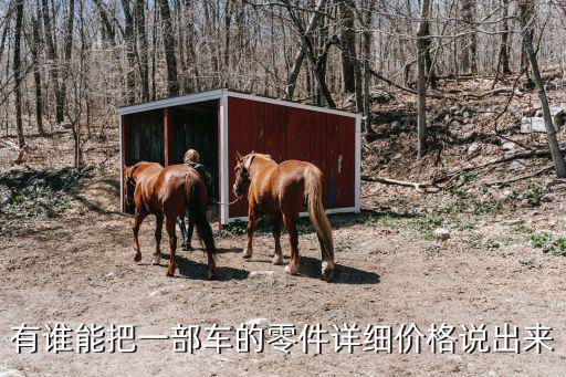 有谁能把一部车的零件详细价格说出来