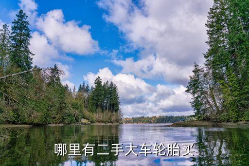哪里有二手大车轮胎买