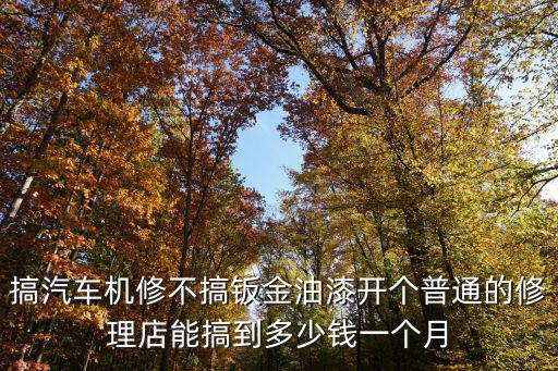 开汽车配件店要多少钱一个月，搞汽车机修不搞钣金油漆开个普通的修理店能搞到多少钱一个月