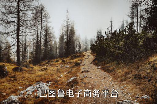 巴图鲁电子商务平台