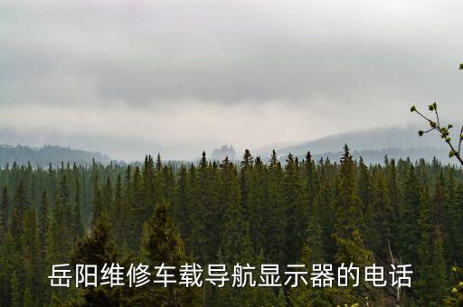 岳阳维修车载导航显示器的电话
