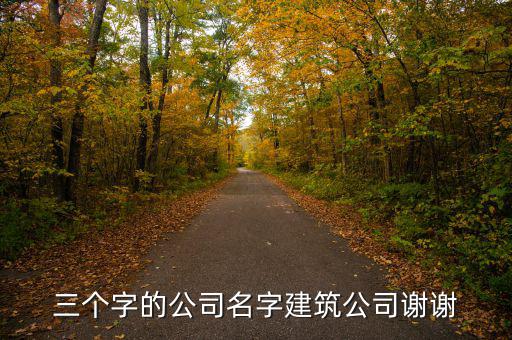 三个字的公司名字建筑公司谢谢