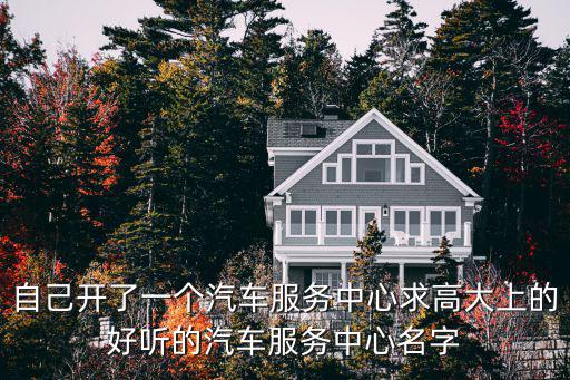 自己开了一个汽车服务中心求高大上的好听的汽车服务中心名字