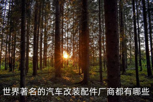 世界著名的汽车改装配件厂商都有哪些