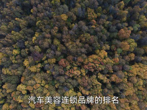汽车美容连锁品牌的排名