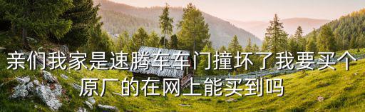 亲们我家是速腾车车门撞坏了我要买个原厂的在网上能买到吗