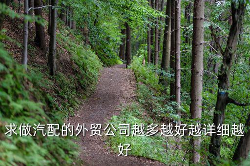 汽车配件外贸出口公司有哪些，国际上比较有名的汽配类的公司有哪些