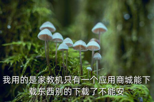我用的是家教机只有一个应用商城能下载东西别的下载了不能安