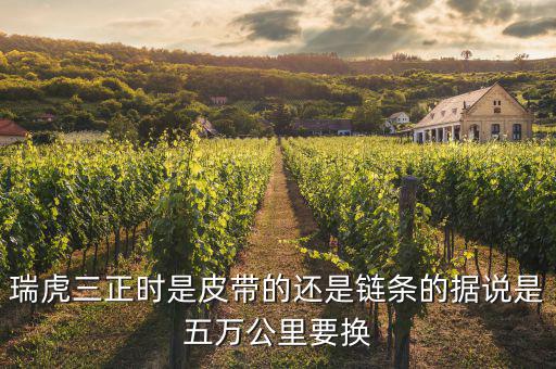 瑞虎三正时是皮带的还是链条的据说是五万公里要换