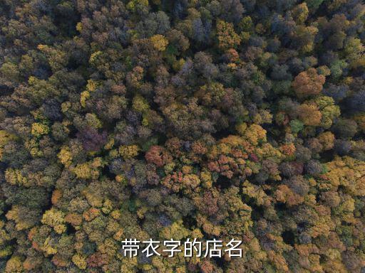 带衣字的店名