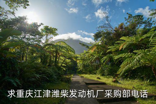 求重庆江津潍柴发动机厂采购部电话