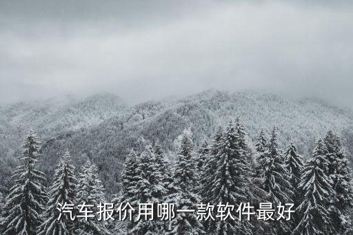 汽车报价用哪一款软件最好