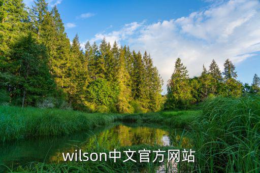 wilson中文官方网站
