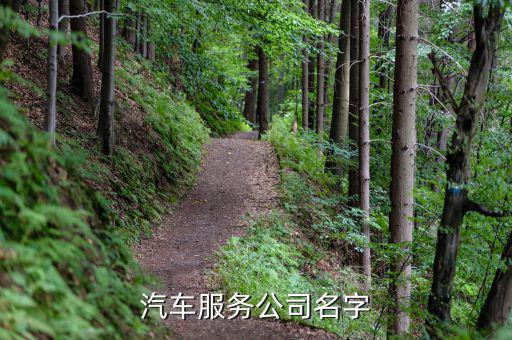 汽车服务公司名字