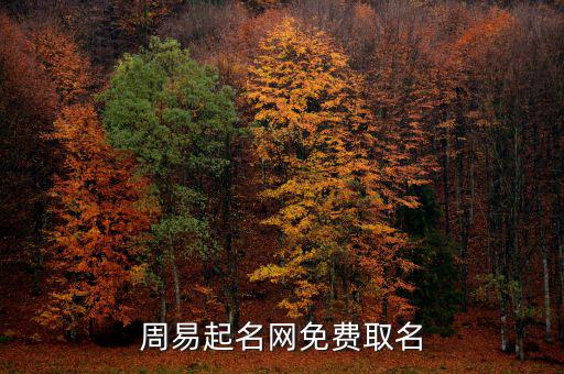 免费起店名网，免费起名大全