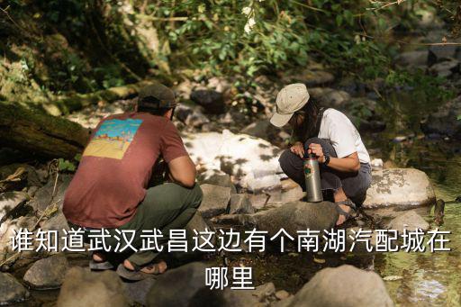 谁知道武汉武昌这边有个南湖汽配城在哪里