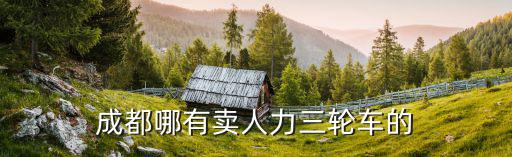成都哪有卖人力三轮车的