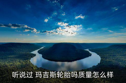 听说过 玛吉斯轮胎吗质量怎么样