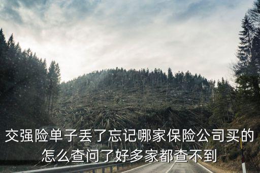 交强险单子丢了忘记哪家保险公司买的怎么查问了好多家都查不到
