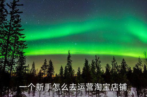 一个新手怎么去运营淘宝店铺