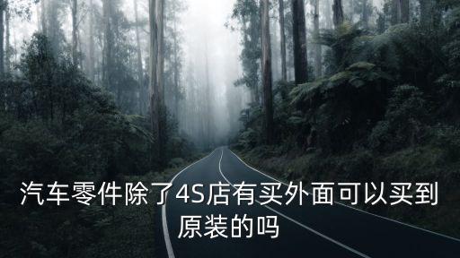汽车零件除了4S店有买外面可以买到原装的吗