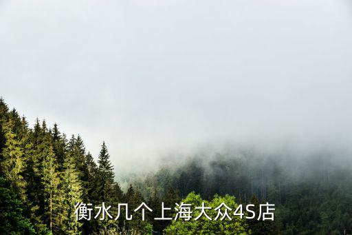 衡水几个上海大众4S店