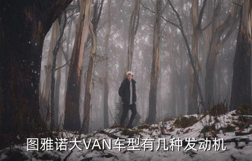 图雅诺大VAN车型有几种发动机