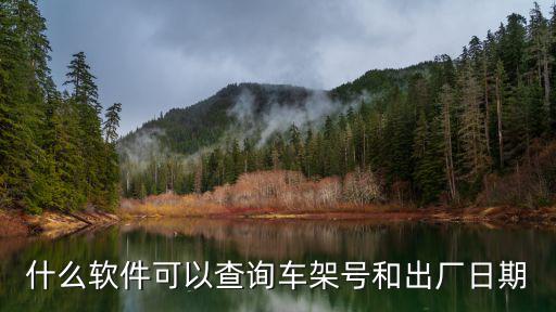哪个软件查车架号，有一种查轿车车架号就知道有没有出险的软件叫什么就可以知道车