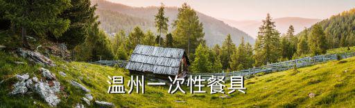 温州一次性餐具