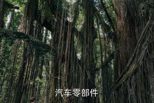 汽车零部件