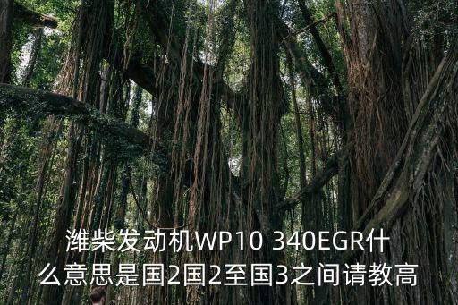潍柴发动机WP10 340EGR什么意思是国2国2至国3之间请教高