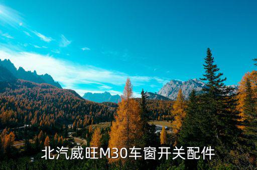 北汽威旺M30车窗开关配件