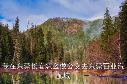 我在东莞长安怎么做公交去东莞百业汽配城