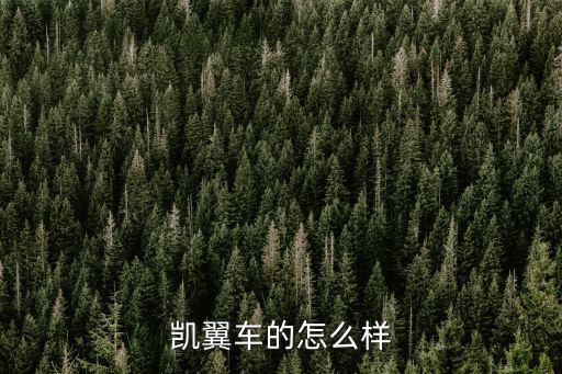 凯翼车的怎么样