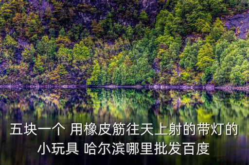 五块一个 用橡皮筋往天上射的带灯的小玩具 哈尔滨哪里批发百度