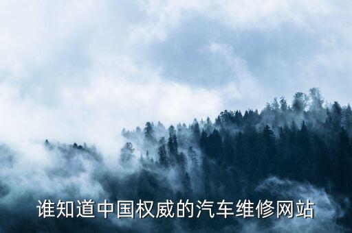 谁知道中国权威的汽车维修网站