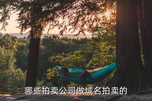 哪些拍卖公司做域名拍卖的