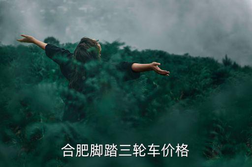 合肥脚踏三轮车价格