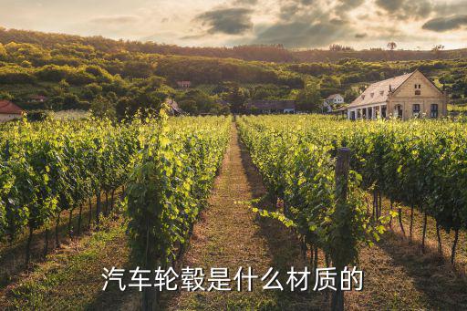 汽车轮毂是什么材质的