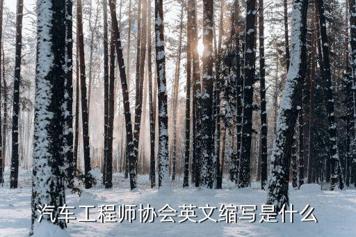 汽车工程师协会英文缩写是什么