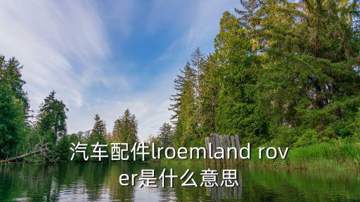 汽车配件niland是什么品牌，这个汽车配件叫什么名字