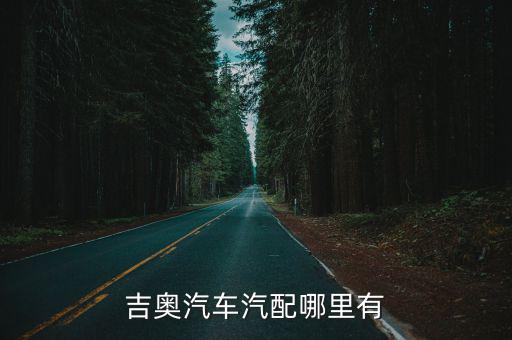 吉奥汽车汽配哪里有