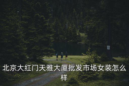 北京大红门天雅大厦批发市场女装怎么样