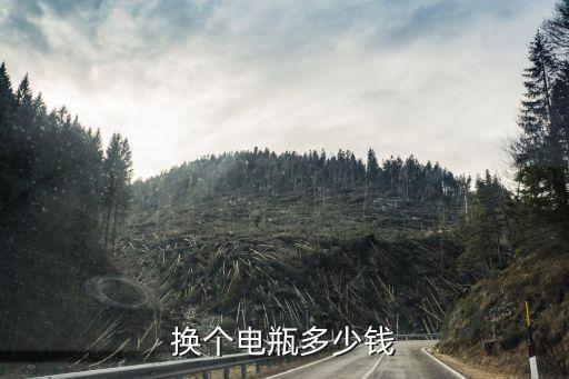 换个电瓶多少钱