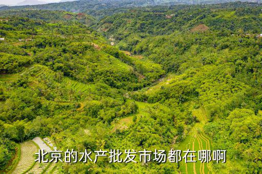 北京的水产批发市场都在哪啊