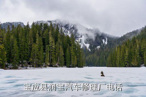 宝应县润宝汽车修理厂电话