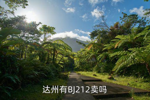 达州有BJ212卖吗