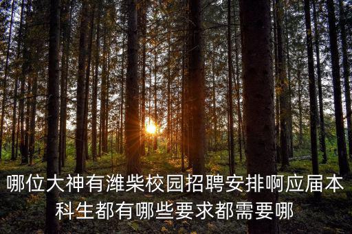 哪位大神有潍柴校园招聘安排啊应届本科生都有哪些要求都需要哪