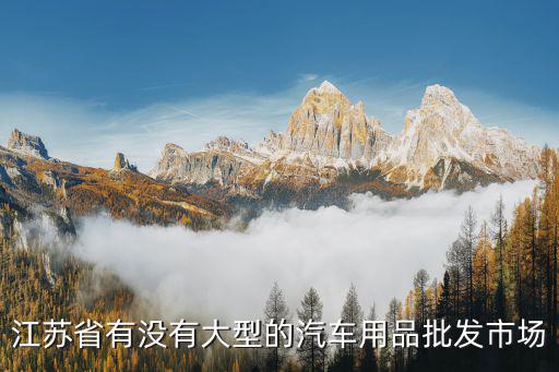江苏省有没有大型的汽车用品批发市场