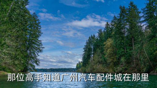 那位高手知道广州汽车配件城在那里